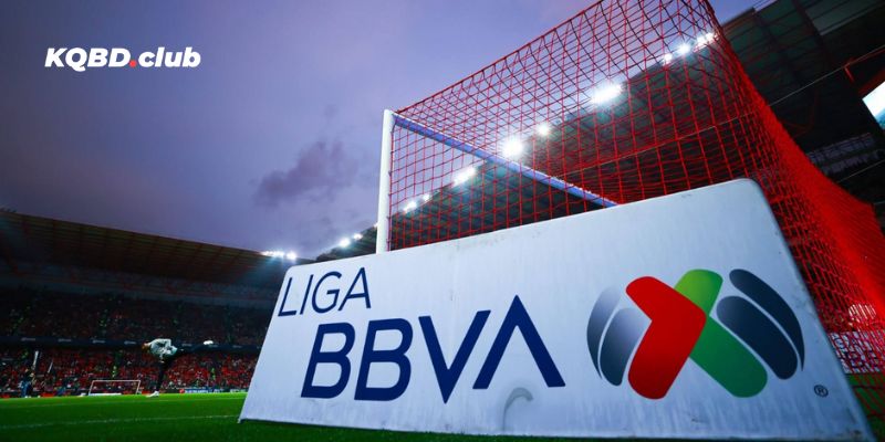 Tổng hợp chi tiết kết quả thi đấu cúp VĐQG Mexico 2025/2026 Tổng hợp chi tiết kết quả thi đấu cúp VĐQG Mexico 2025/2026