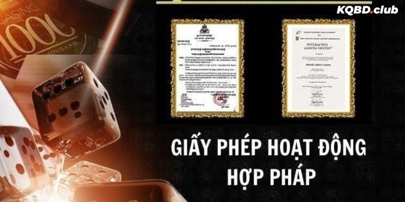 Bỏ túi các bí quyết để bạn gửi gắm niềm tin đúng chỗ