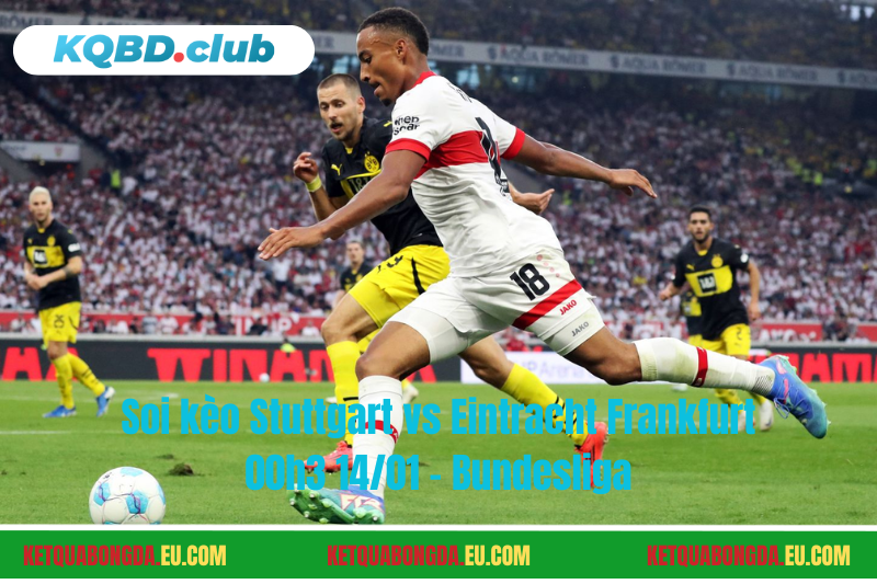 Đội hình dự kiến trước trận Stuttgart vs Eintracht Frankfurt Đội hình dự kiến trước trận Stuttgart vs Eintracht Frankfurt