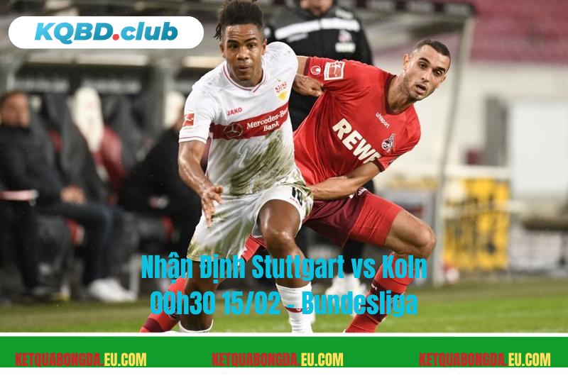 Đội hình dự kiến trước trận Stuttgart vs Koln Đội hình dự kiến trước trận Stuttgart vs Koln